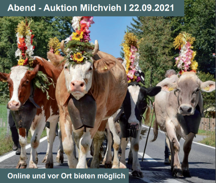 Chommle 22.09