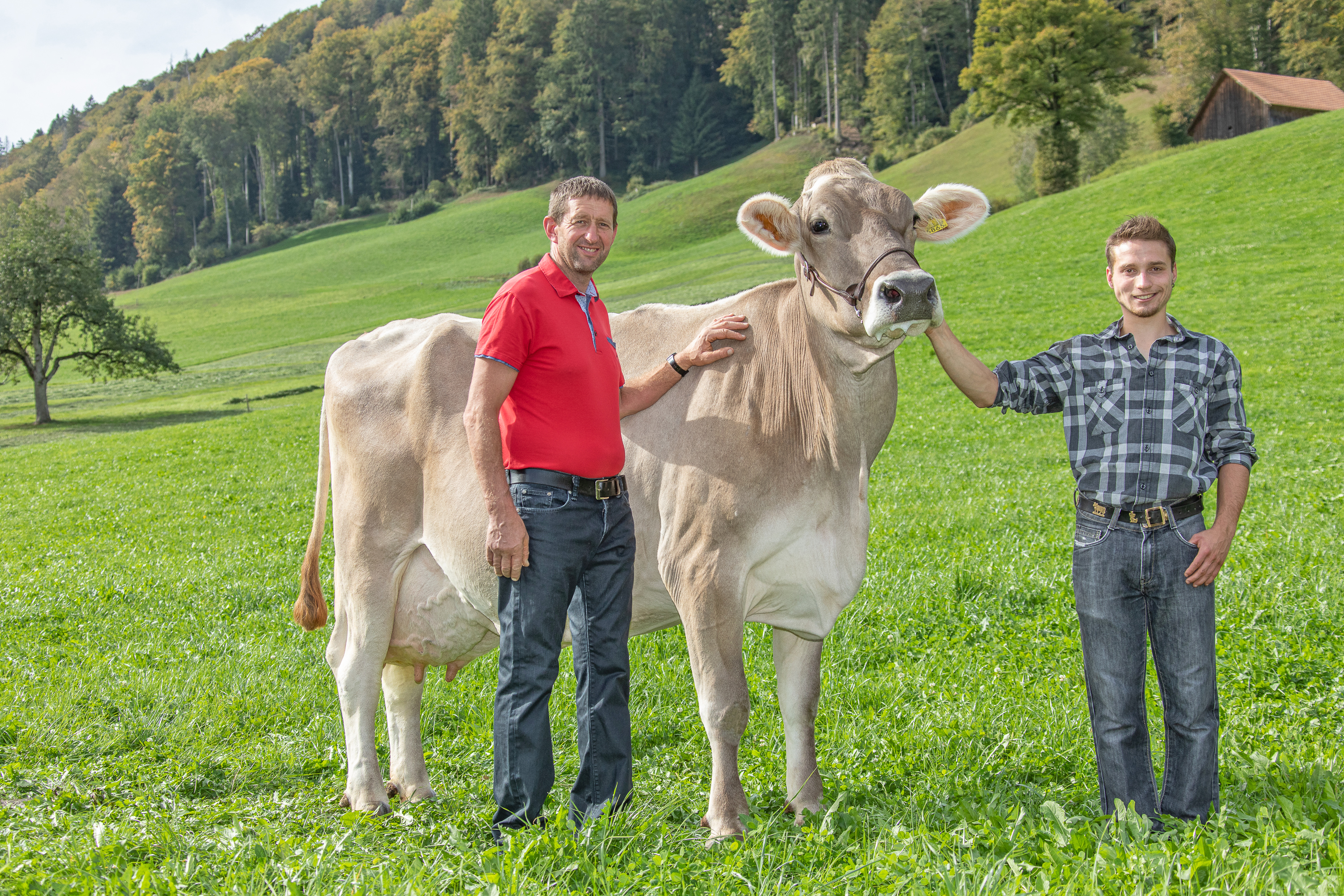 100'000kg Kühe aus der Zentralschweiz 2023