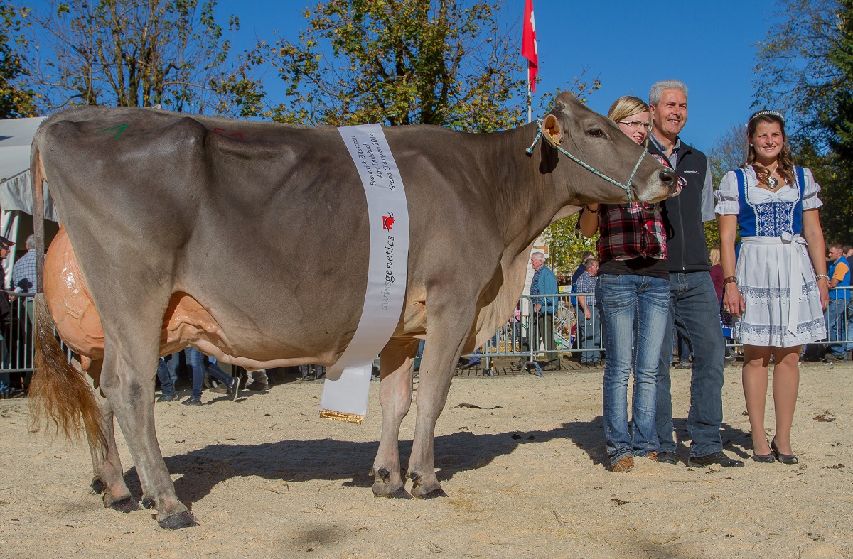 Miss Amt Entlebuch Mocambo Joya von Portmann Josef Schüpfheim