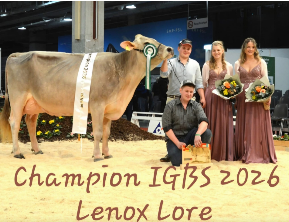 IGBS 2026