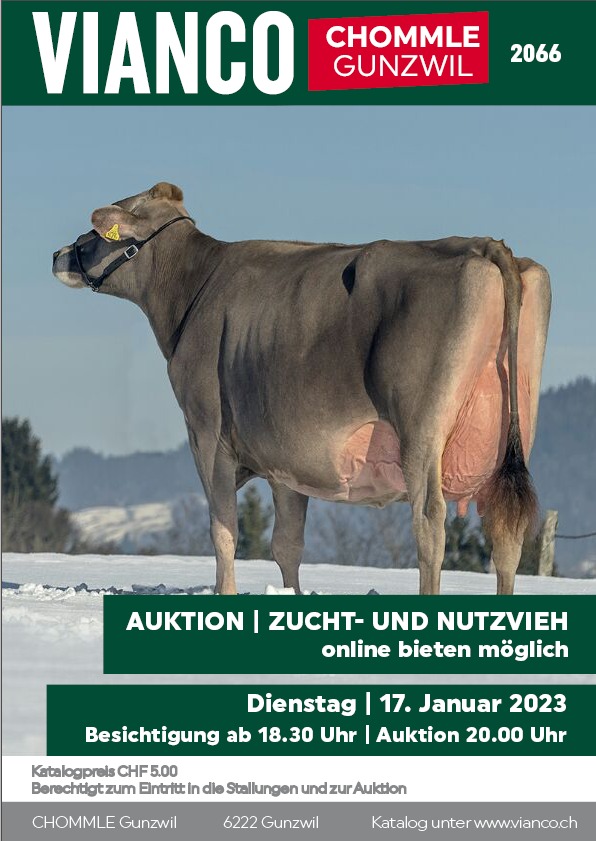 Katalog Auktion Gunzwil 17. Januar