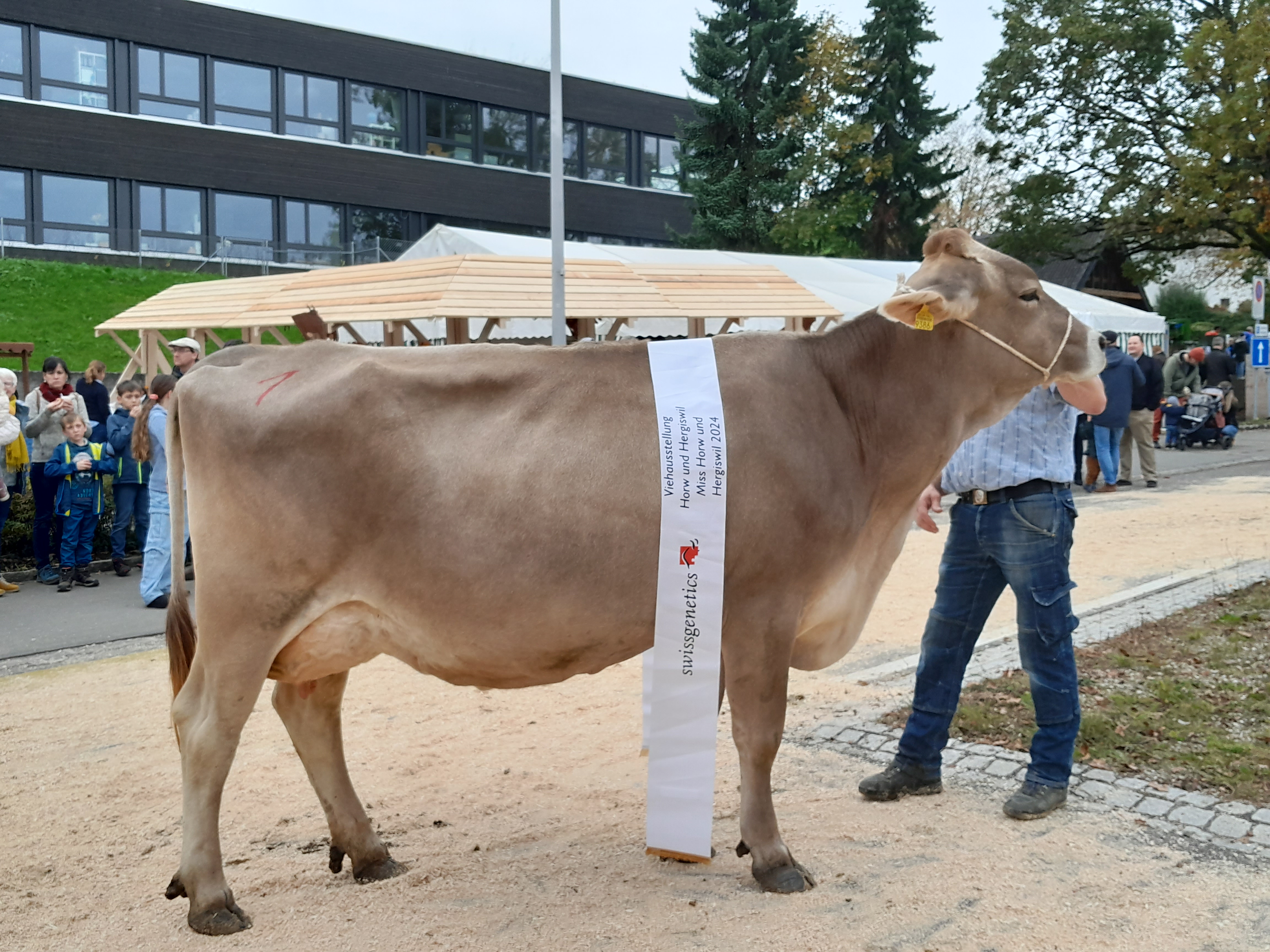 Viehschau Horw-Hergiswil 2024