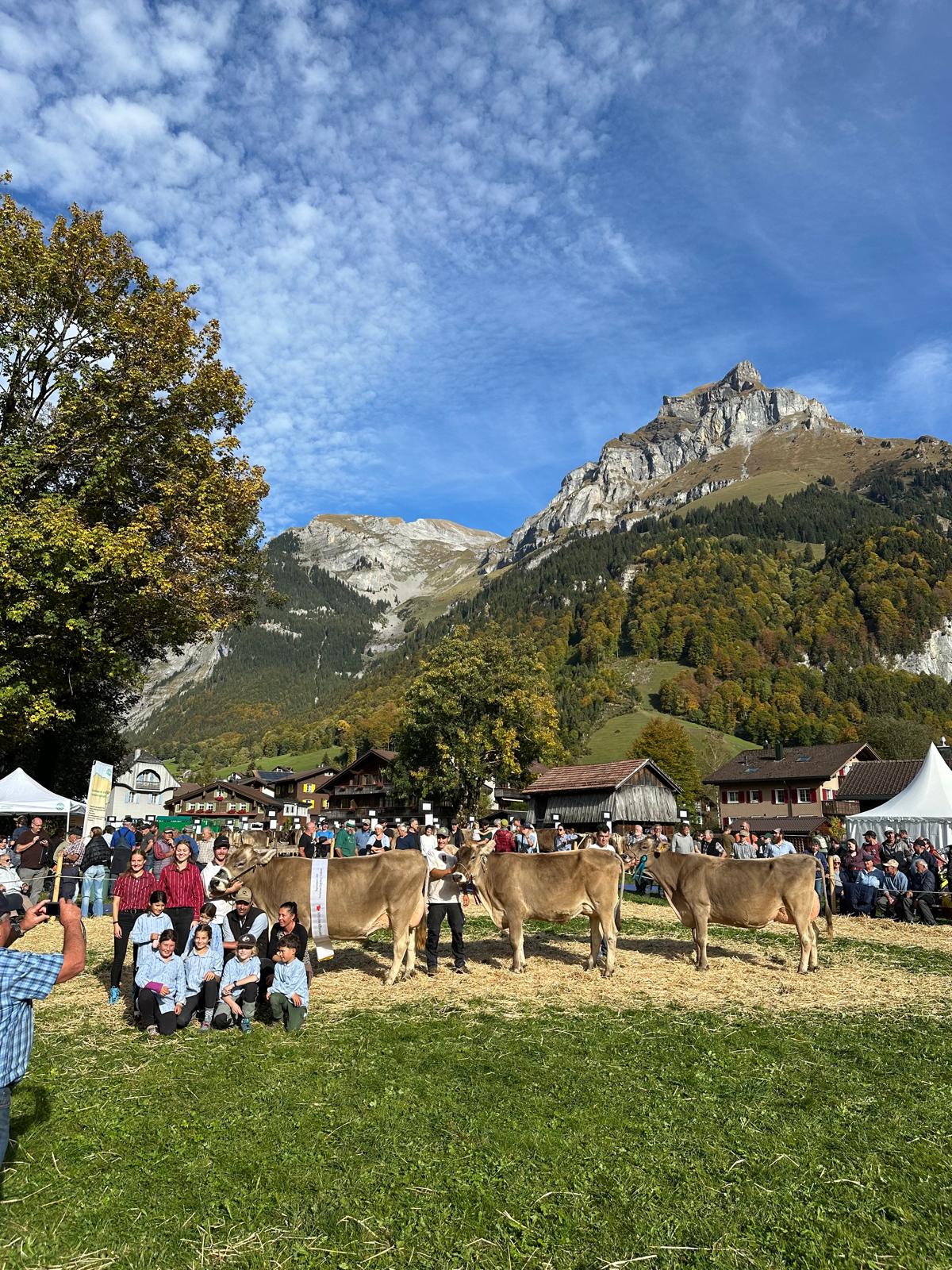 Viehschau Engelberg & Grafenort 2026