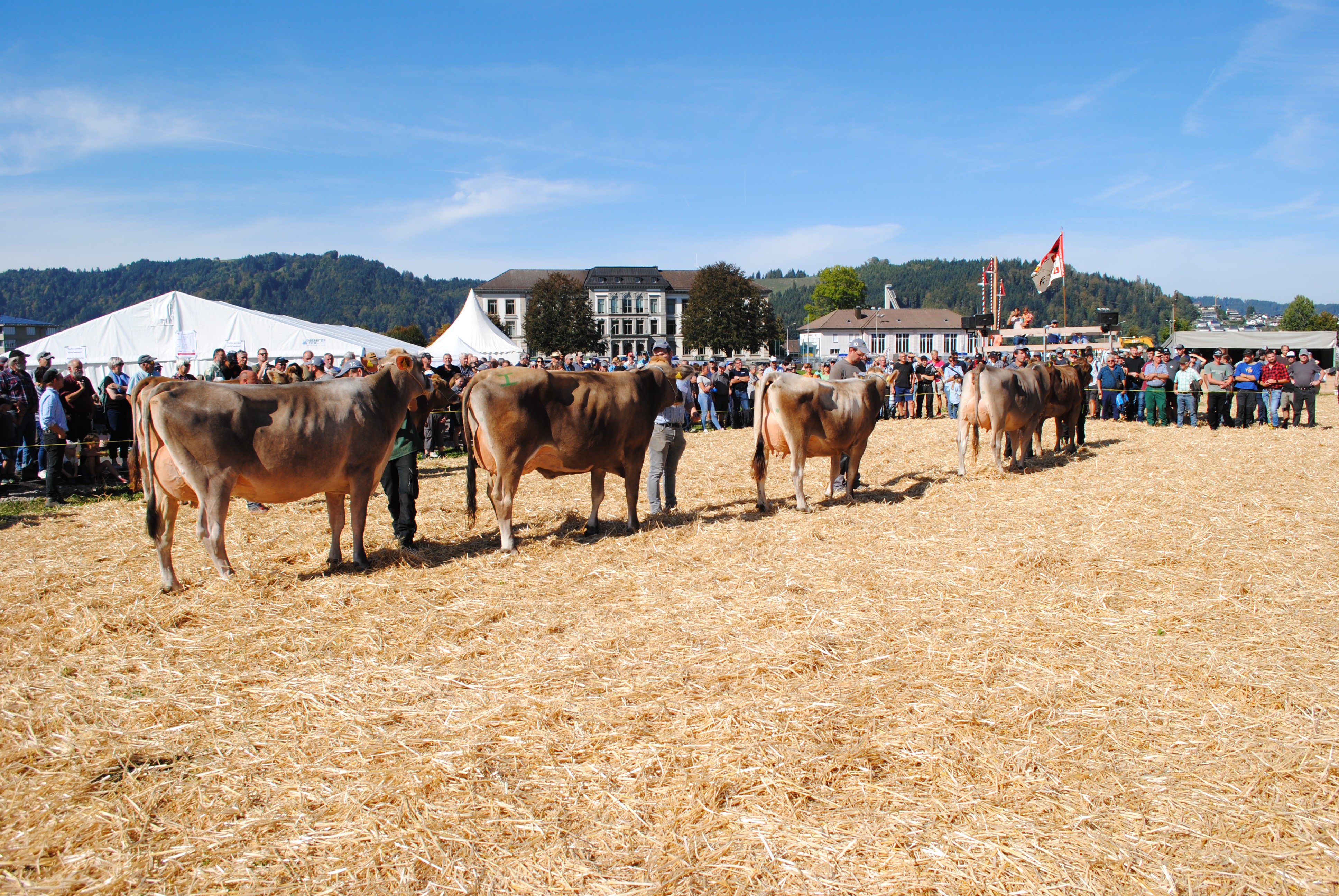 Viehschau Einsiedeln 2026
