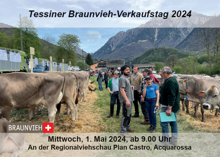 2. Verkaufstag Tessin