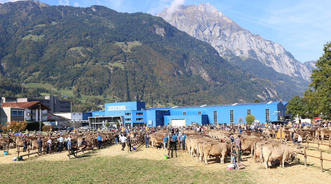 Urner Klein- und Grossviehausstellung 30.09.2026 und 03.10.2026