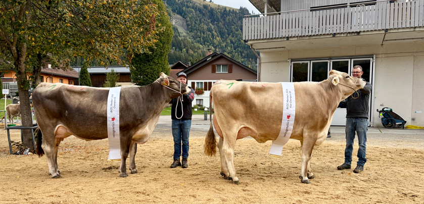 Viehschau Marbach 2026
