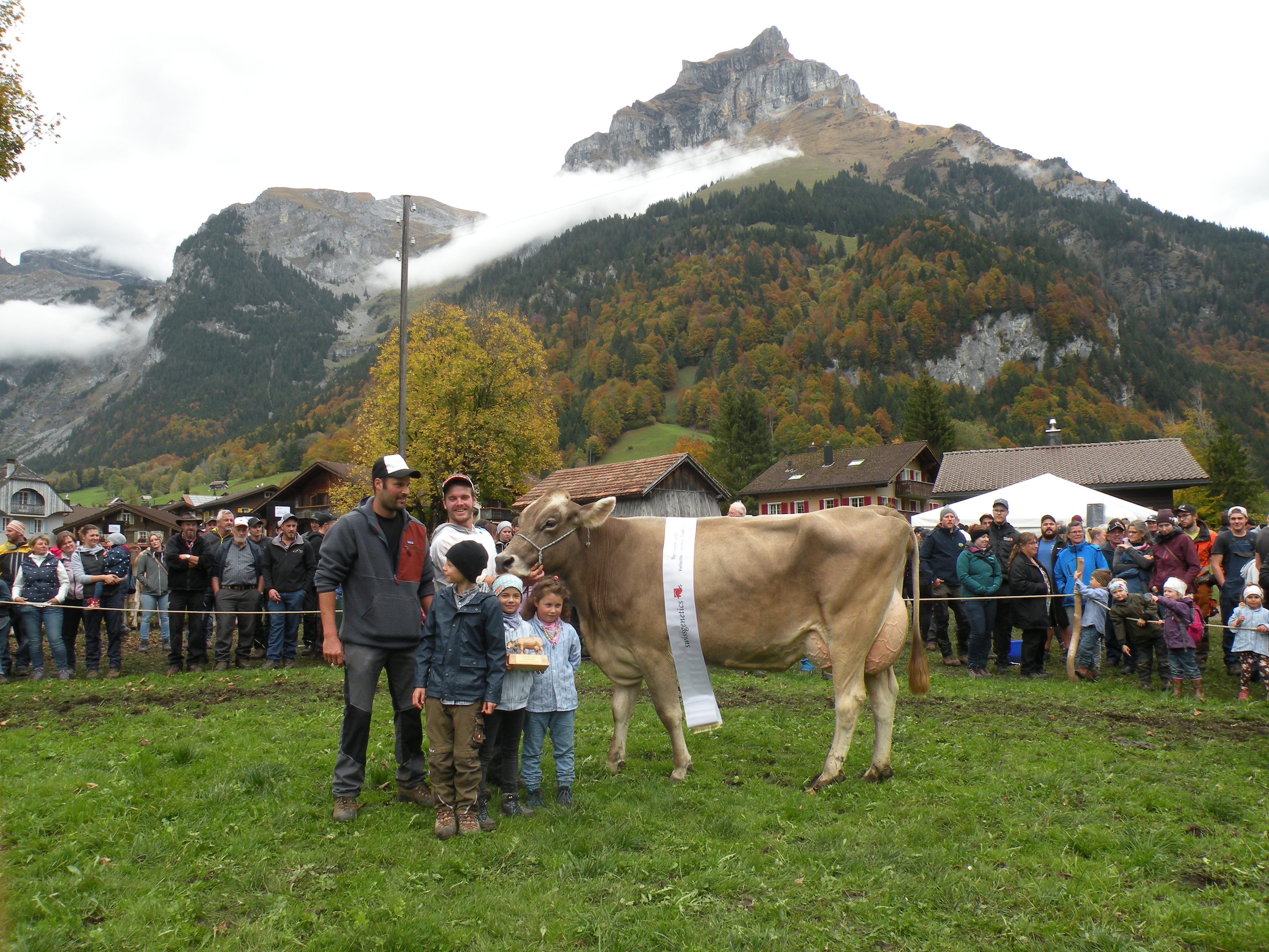 Viehschau Engelberg und Grafenort 2022