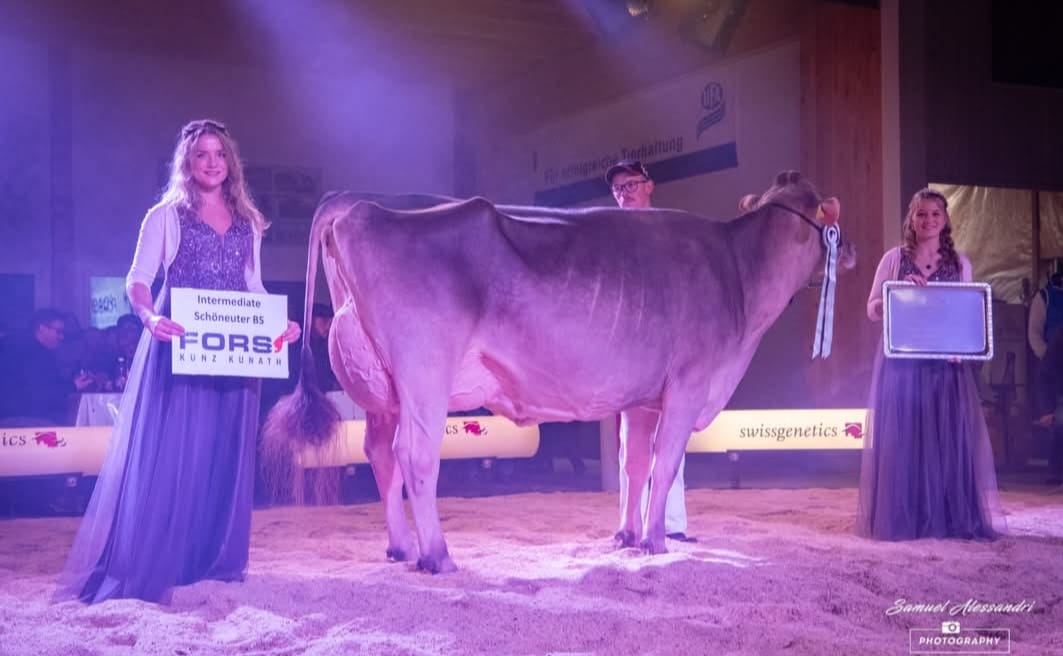 Lucerne Expo 2025