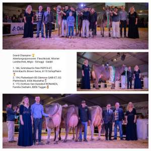 grand champion