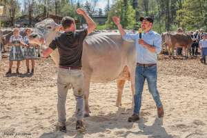 champion bs bender beila florian dahinden ebnet
