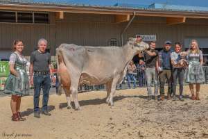 champion bs bvzg bender beilal florian dahinden ebnet