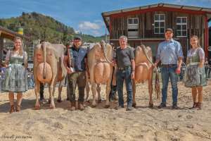 champion bs podest bvzg entlebuch