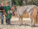 champion ob amt entlebuch 1.l anakin kimberly stalder rafael   zehnder petra hasle