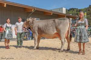 champion ob bvzg untermosigen arcas jaciral niklaus felder haas entlebuch
