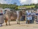 champion bs salomon santana ch.1358.5910.5 matthias arnold durrer