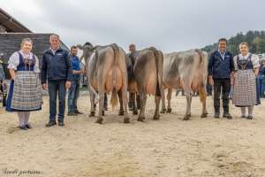 17.regioschau willisau 26 champion bs