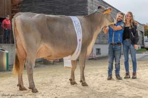 17.regioschau willisau 26 champion bs