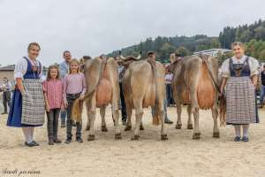 17.regioschau willisau 26 schoeneuter ob