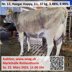 img wa0022