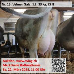 img wa0023
