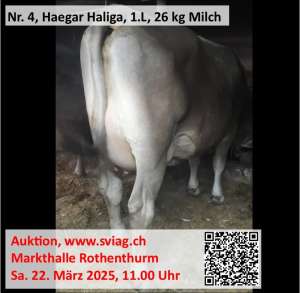 img wa0025