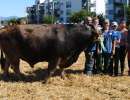 galgenen mister ob orlando obelix roland zueger galgenen
