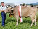 miss ob delwin hilty urs reichmuth altendorf