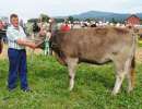miss ob rind bimbo fabrina urs reichmuth altendorf