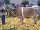 miss ob march delwin atrix urs reichmuth altendorf