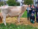 schoeneuter aeltere silverstar tracy kevin und maya zueger vorderthal