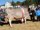 schwyz miss ob wenger wyna reichmuth martin rothenthurm