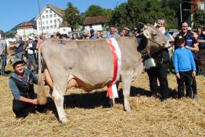 schwyz miss ob wenger wyna reichmuth martin rothenthurm