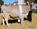 schwyz schoeneuter aelter ob wenger wyna reichmuth martin rothenthurm