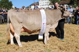schwyz schoeneuter aelter ob wenger wyna reichmuth martin rothenthurm