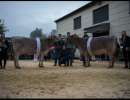 grand champion bs salomon sina  felder franz   pascal marbach