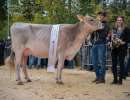 junior champion bs barca cleo et  felder franz   pascal marbach