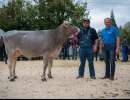 miss genetik bs palmer primrose  studer richard hasle