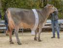 champion bs superstar yasmin felder franz und pascal  
