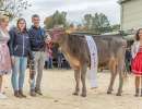 rinderchampion bs