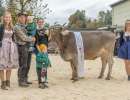 rinderchampion ob