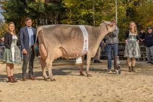 champion bs jongleur janina   eliteschau entlebuch 2025