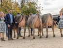 se bs 1.laktation   eliteschau entlebuch 2025