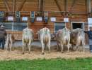 5 generationen infanger josef willi wolga