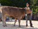 champion rinder ob eldor eby trueb hans spisboden