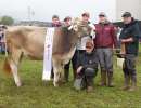 rinderchampion bv