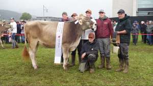 rinderchampion bv