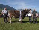 miss bs rind nello noelia paul reinhard st.niklausen