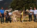 rindermiss bs weikiki ch 120.1700.5805.1 arnold manuel u. sandra  wilerstrasse  erstfeld
