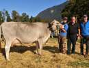 vize miss bs und schoeneutersiegerin aeltere buholzers bs calvin cameron von gisler urs  andermatt .1362.5656.9